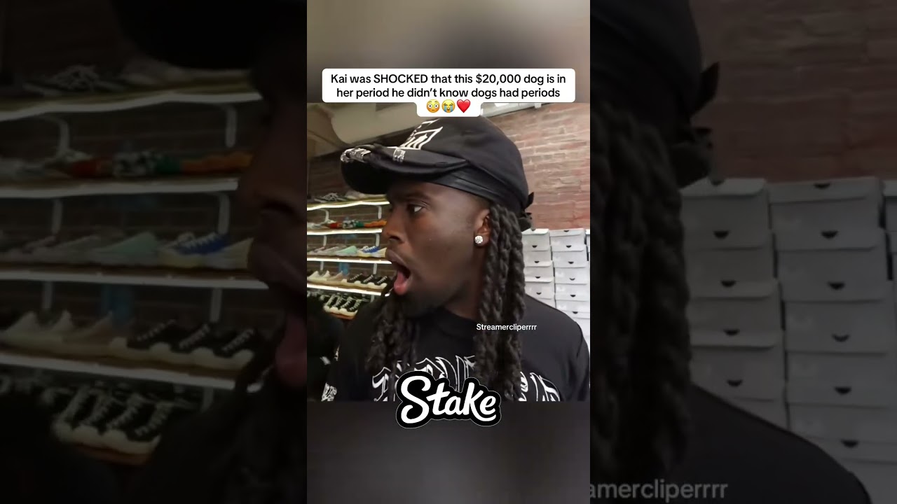 Kai was SHOCKED that this $20,000 dog is in her period he didn’t know dogs had periods 😳😭❤️