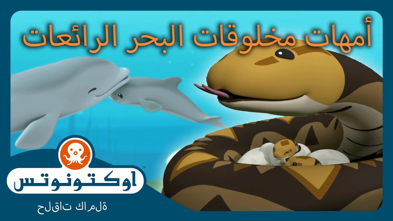 أوكتونوتس | 🌊 أمهات مخلوقات البحر الرائعات 🦦 | حلقات مجمعة