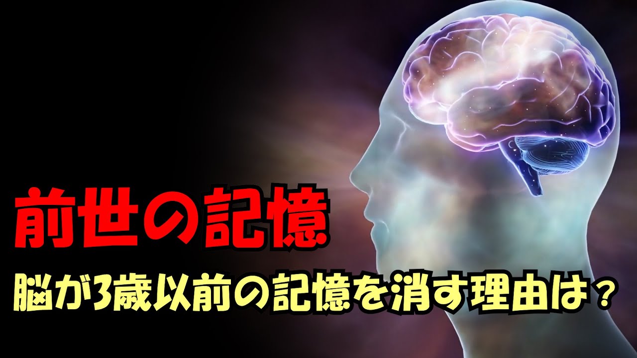 「前世の記憶」脳が3歳以前の記憶を消す理由は？【真実の目】