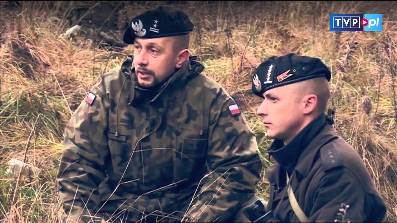 Naszaarmia.pl - Kraby wsparły artylerię