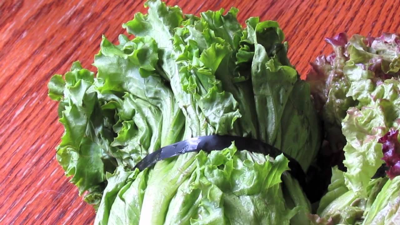 BudgetBunny: Vegetables And Your Rabbit