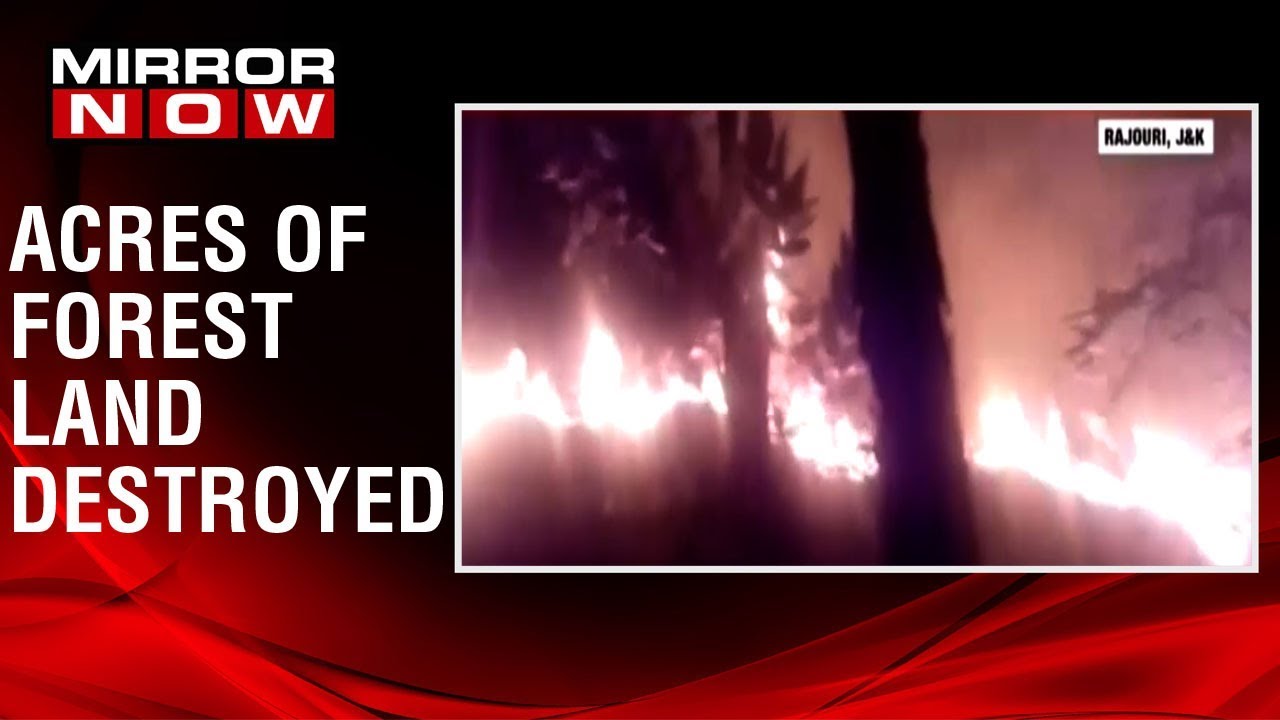 J&K: Massive fire breaks out in Doongi and Keri forest