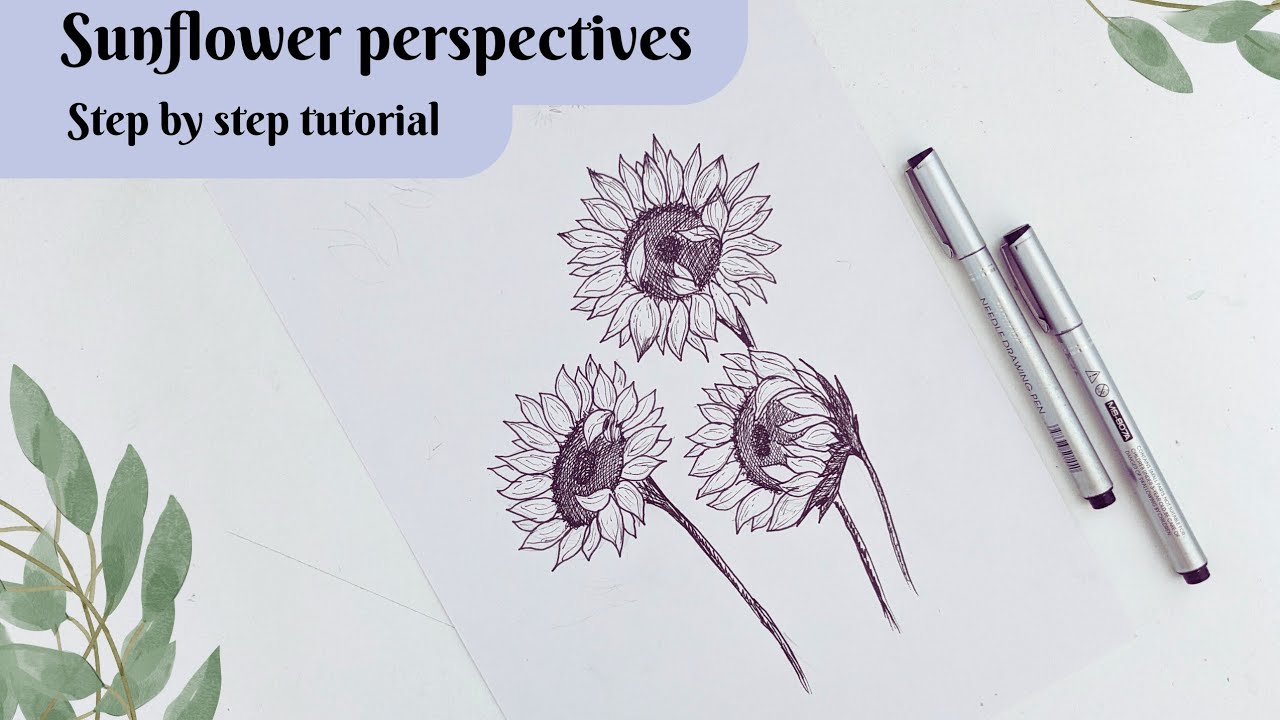 How to draw sunflowers. Draw different sunflower perspectives. Different Flower drawing.#sunflower.