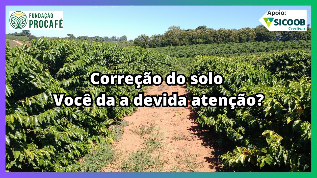 Podcast #186 - Correção do solo - Você da a devida atenção?