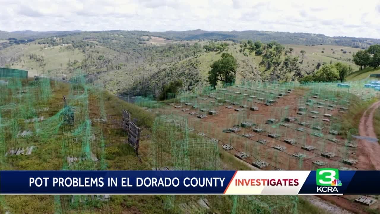 Pot problems in El Dorado County