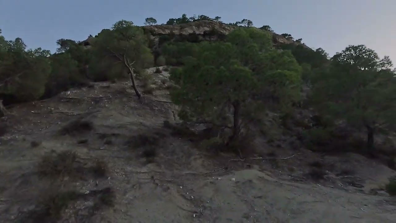 Chasse aux sangliers 🇹🇳 Tunisie, tir gros mâle en pleine course