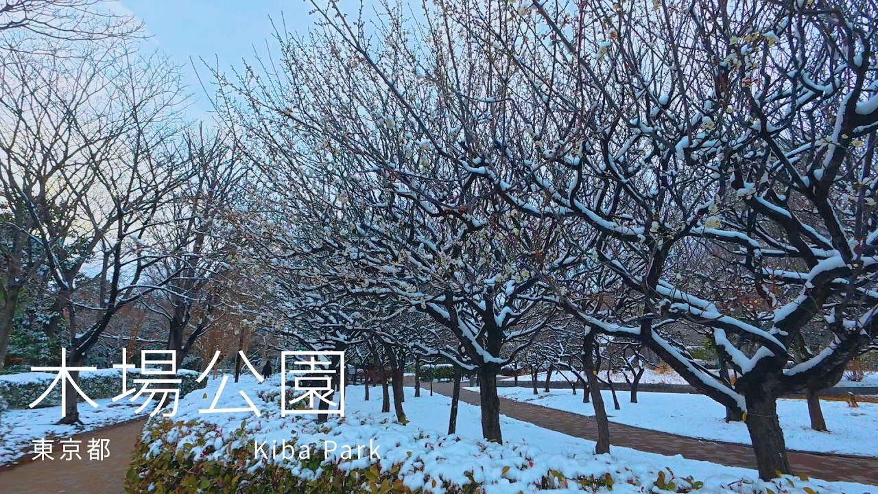 【4K・POV】東京都江東区木場公園を散歩