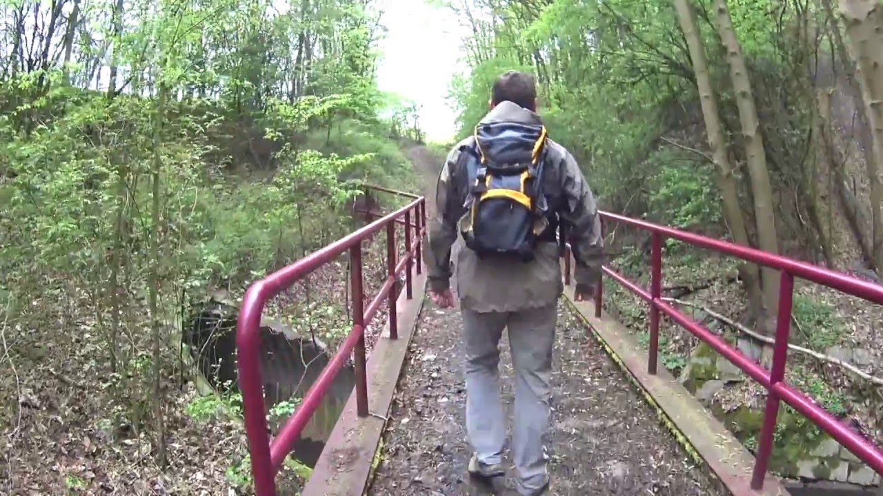 Balade au Bois de Soleilmont