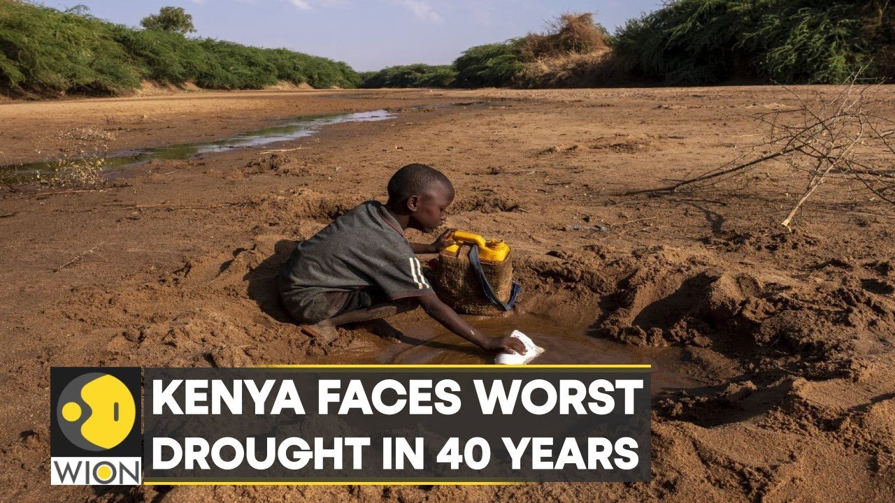 WION Climate Tracker: Kenya ravaged by alarming drought; 1.5 mn people forced to abandon homes
