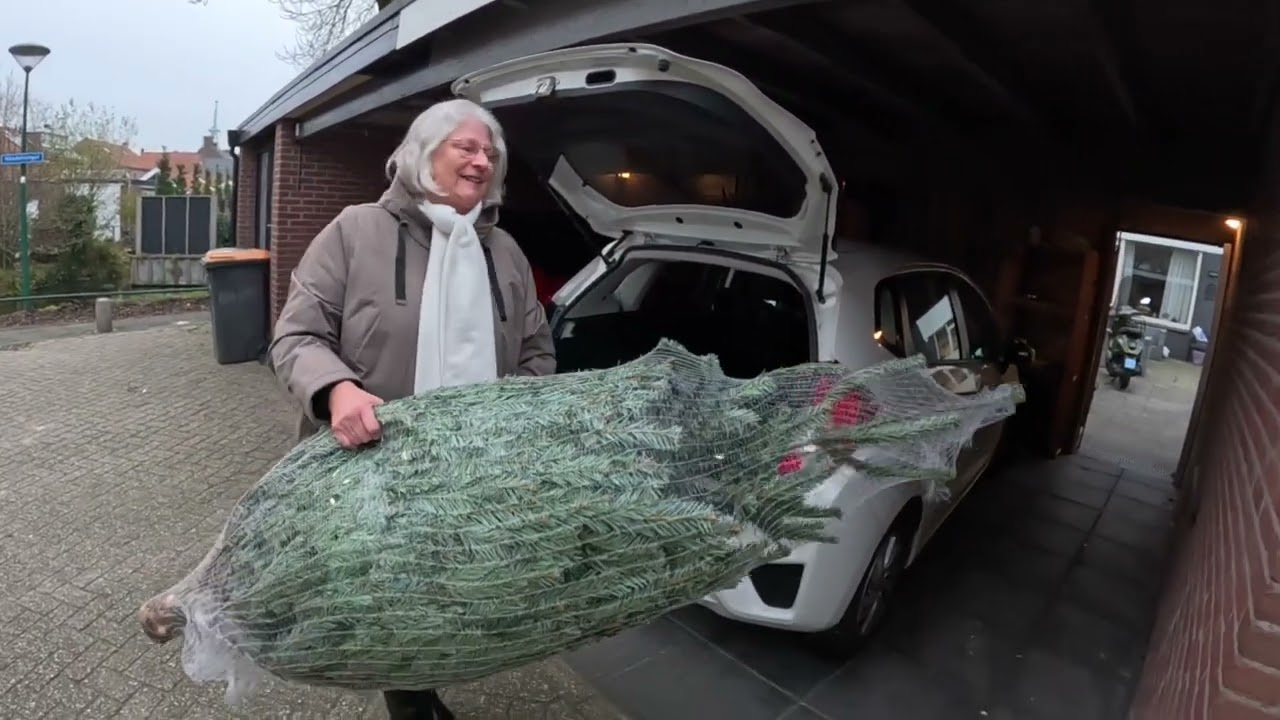 Kerstboom 2025 op naar 2026