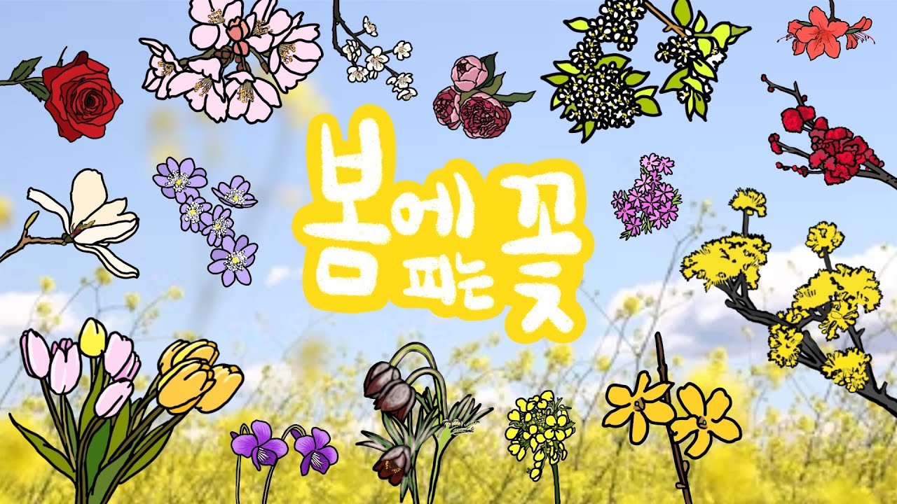 봄꽃 | 봄에는 어떤 꽃이 필까? | 따뜻한 봄날 피어나는 꽃들을 알아보아요 | 마음이 편해지는 봄꽃놀이 | 키즈드로우