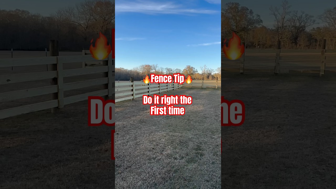 Wood fence must #jx5farms #shorts #short #how #howto #diy #build #homestead #home #viral #farming