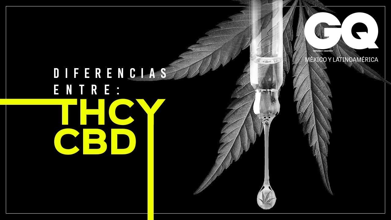 Qu&eacute; es el THC y CBD, y cu&aacute;les son sus diferencias.