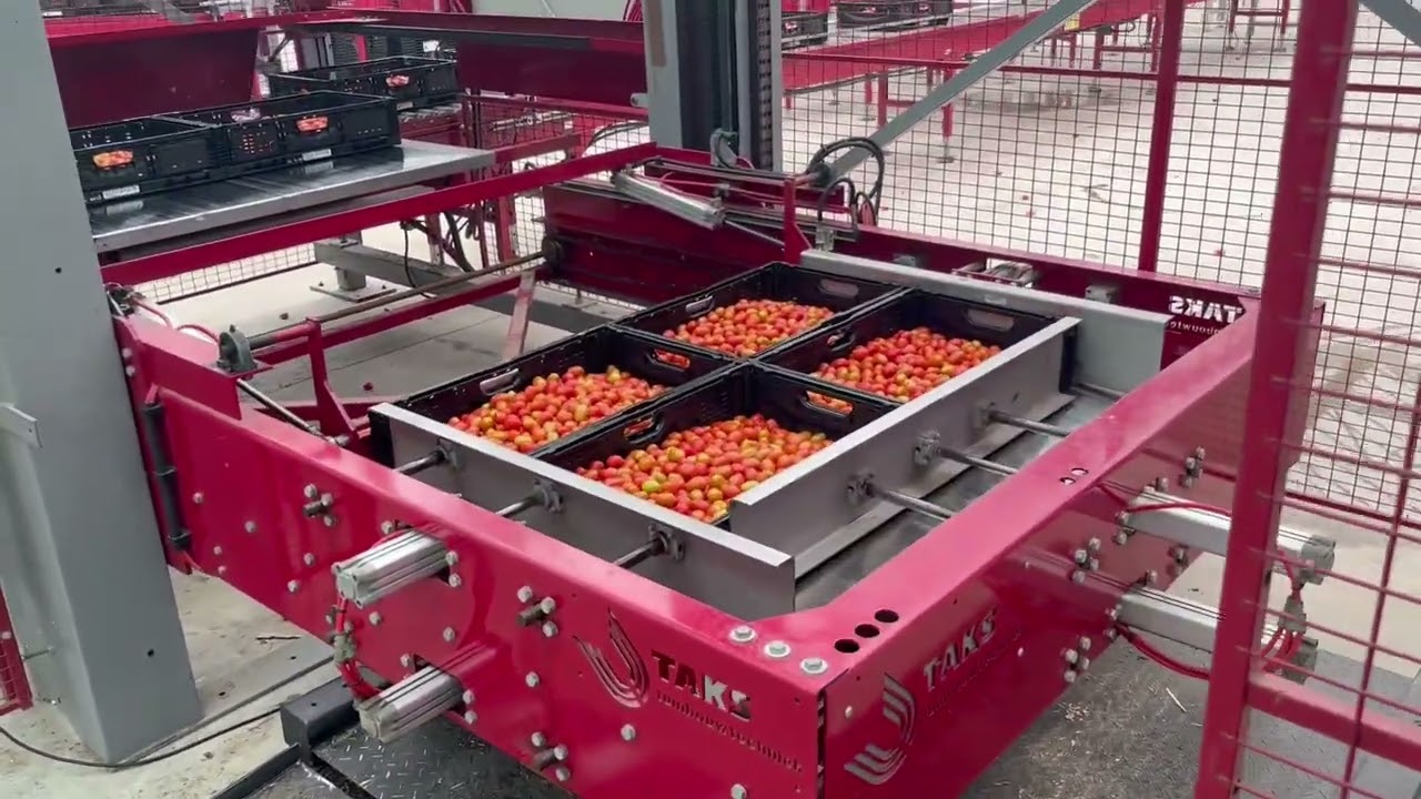 Taks MPL palletizer