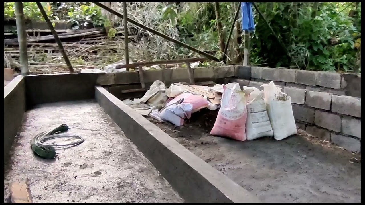 Babuyang Walang Amoy: Paano Namin Ginawa