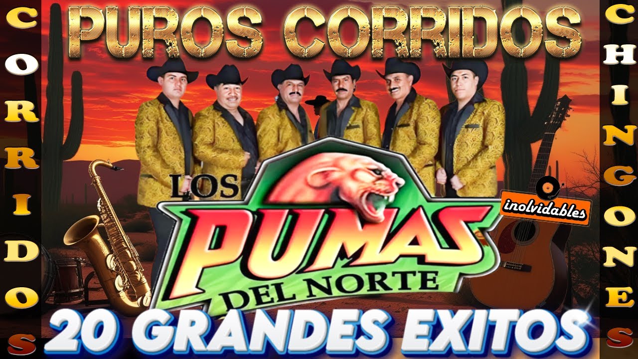 💣 20 Corridazos Bravos – Los Pumas del Norte | Puros Corridos Para Pistear 2025