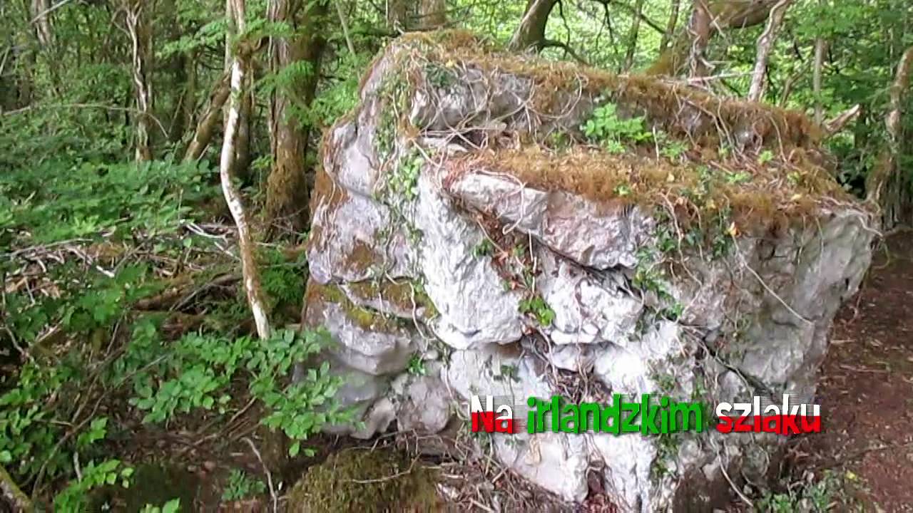 Rosscahill Wood Co Galway