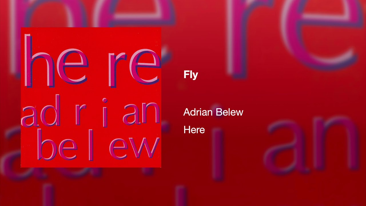 Fly