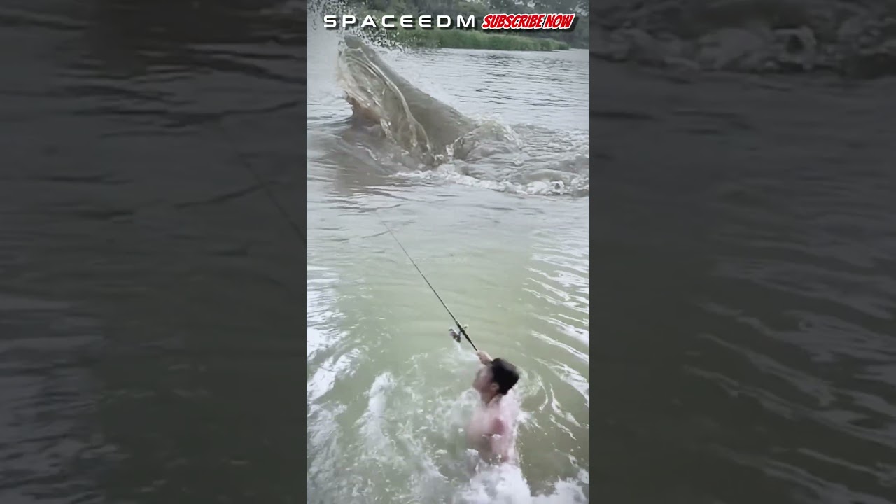 AMAZING! THIS MAN USES THE NEWEST STYLE OF STURGEON FISHING #fishing