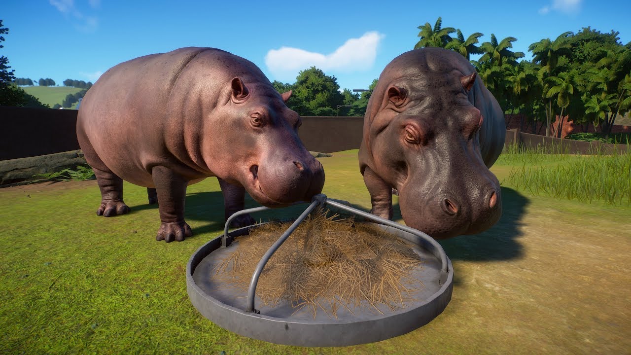 Hippopotamus Planet Zoo  Beta Gameplay Goodwin House