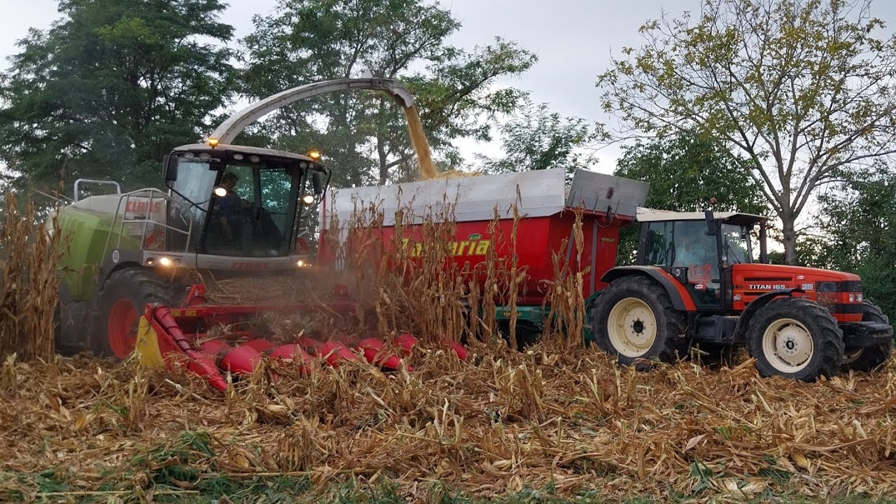 PASTONE DI MAIS: CLAAS JAGUAR 960 | SAME TITAN 165 | MASSEY FERGUSON 6290 | CAPELLO QUASAR R6