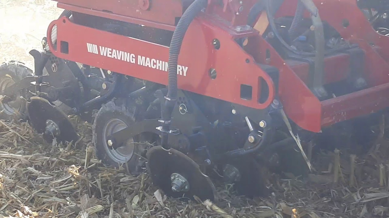 Fairwood Agri Solutions - Weaving GD Drill going straight into Maize
