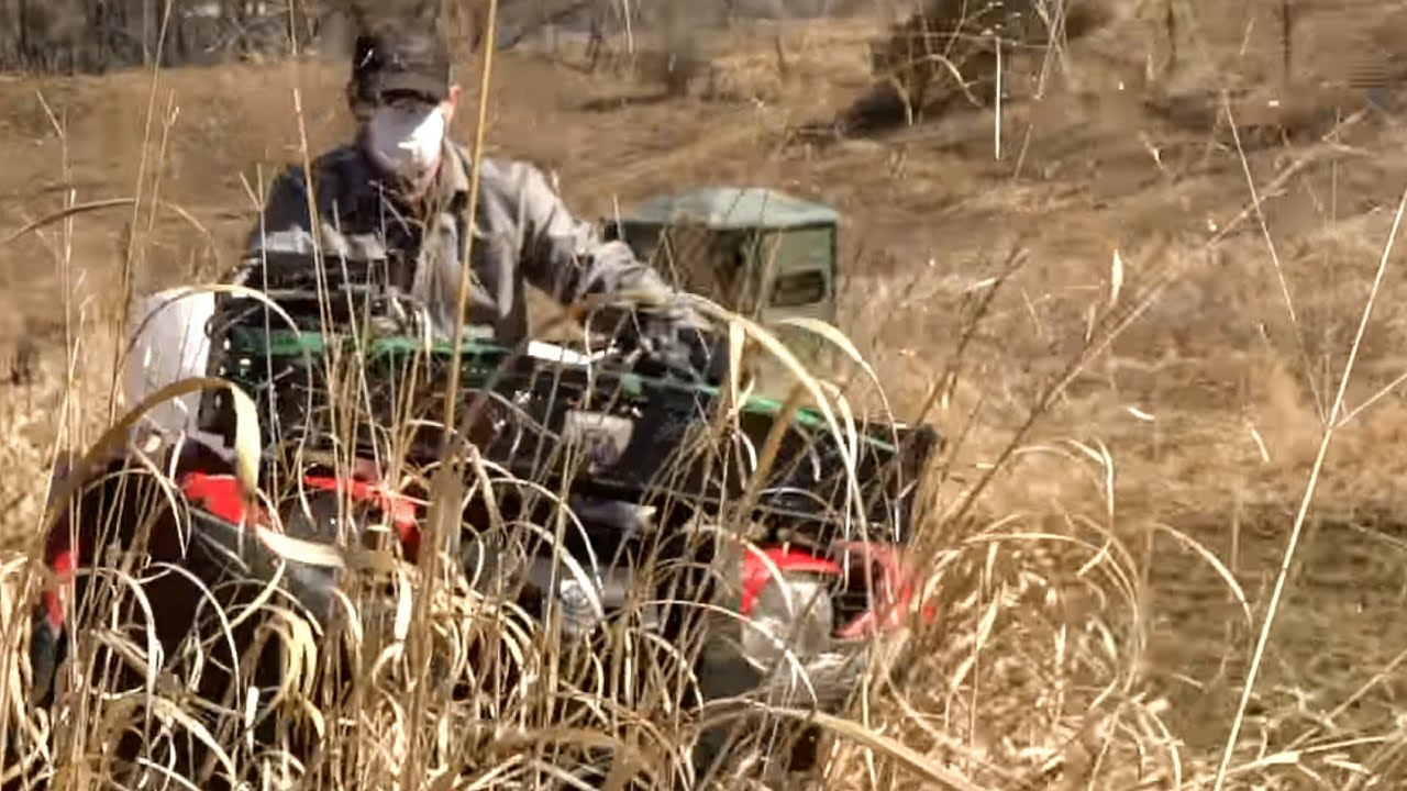 How To Frost Seed Switchgrass