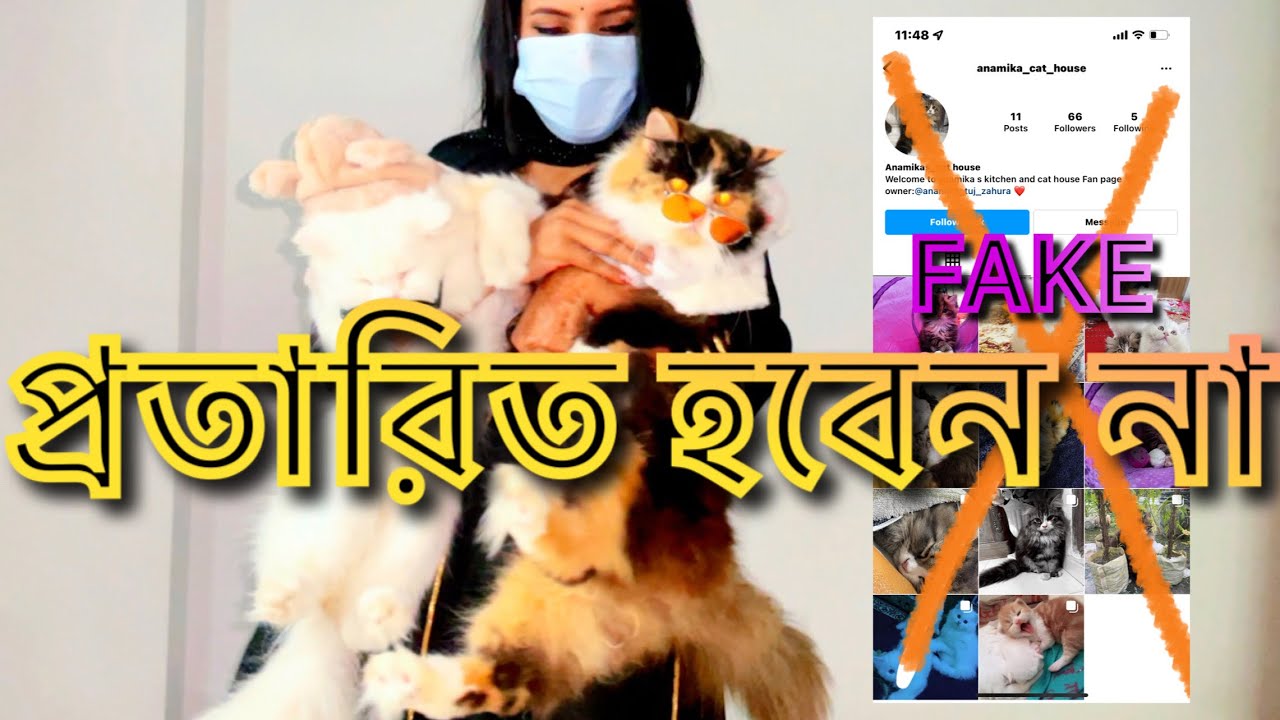 প্লিজ কেও প্রতারিত হবেন না ॥ পুর ভিডিওটা দেখার অনুরোধ রইলো #cat #catlover #dog #birds