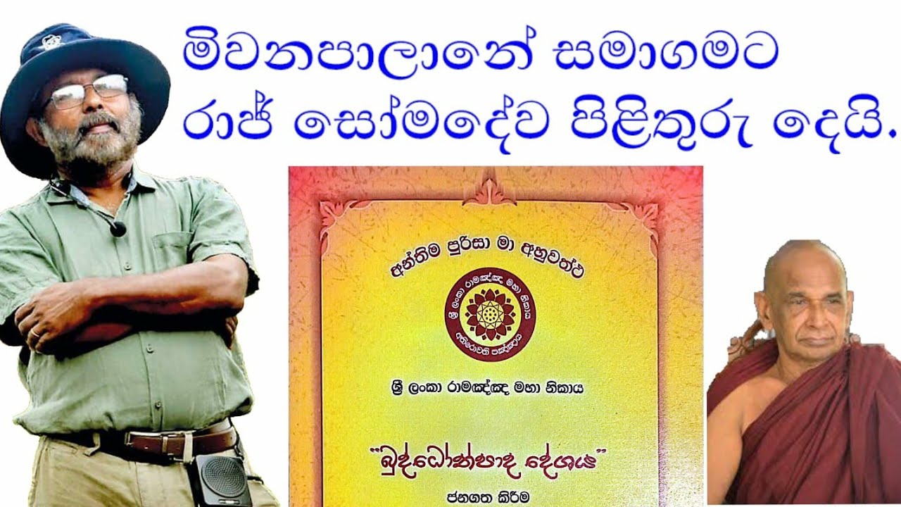 මීවනපලානේ පලා යයිද? පුරාවිද්‍යාව බොරු කරන්නට ගොස් ඇණ ගත් මිවනපලානෙ | raj somadeva | mivanapalane