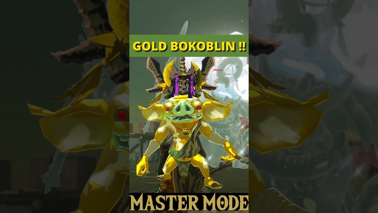 Where are the GOLD BOKOBLINS? Zelda Tears Of The Kingdom