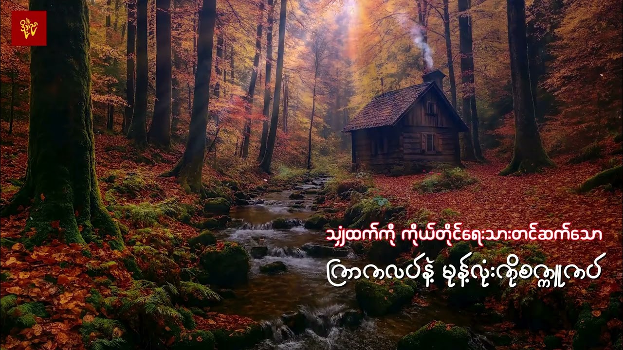 ကြာကလပ်နဲ့မုန့်လုံးကိုစက္ကူကပ် #သျှံထက်ကို