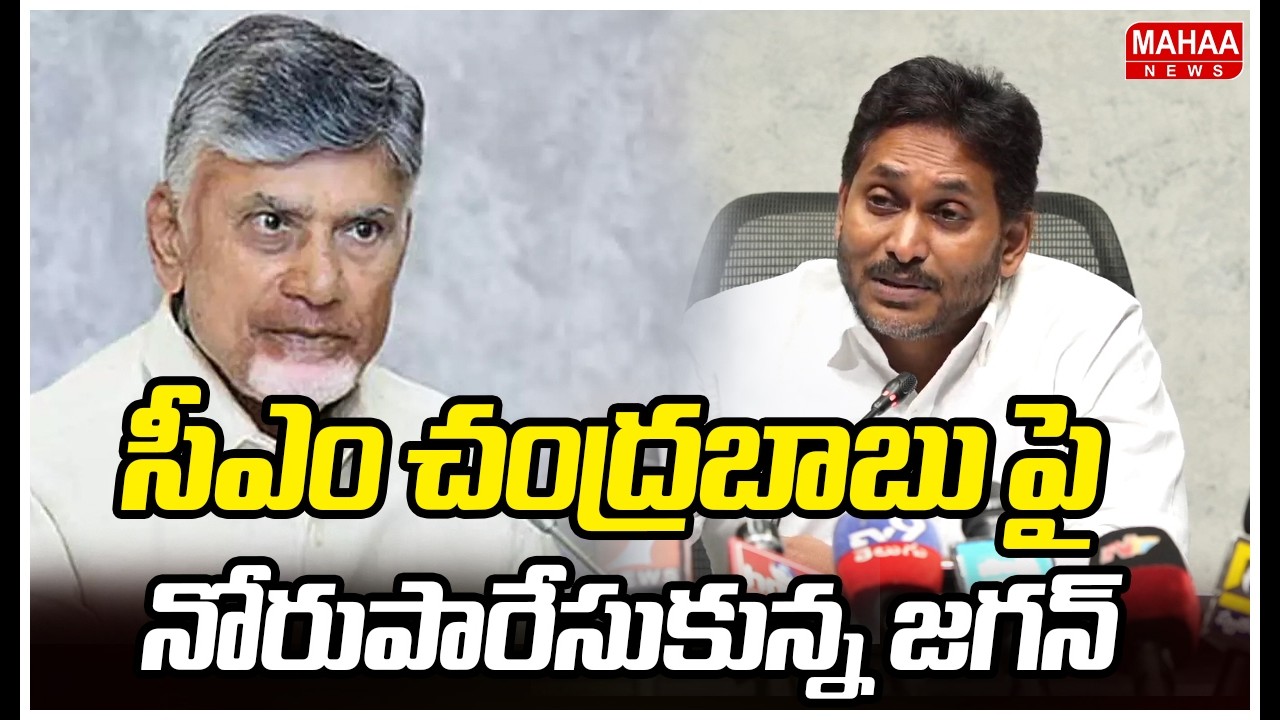 సీఎం చంద్రబాబు పై నోరుపారేసుకున్న జగన్ | YS Jagan Comments On CM Chandrababu Over Budget