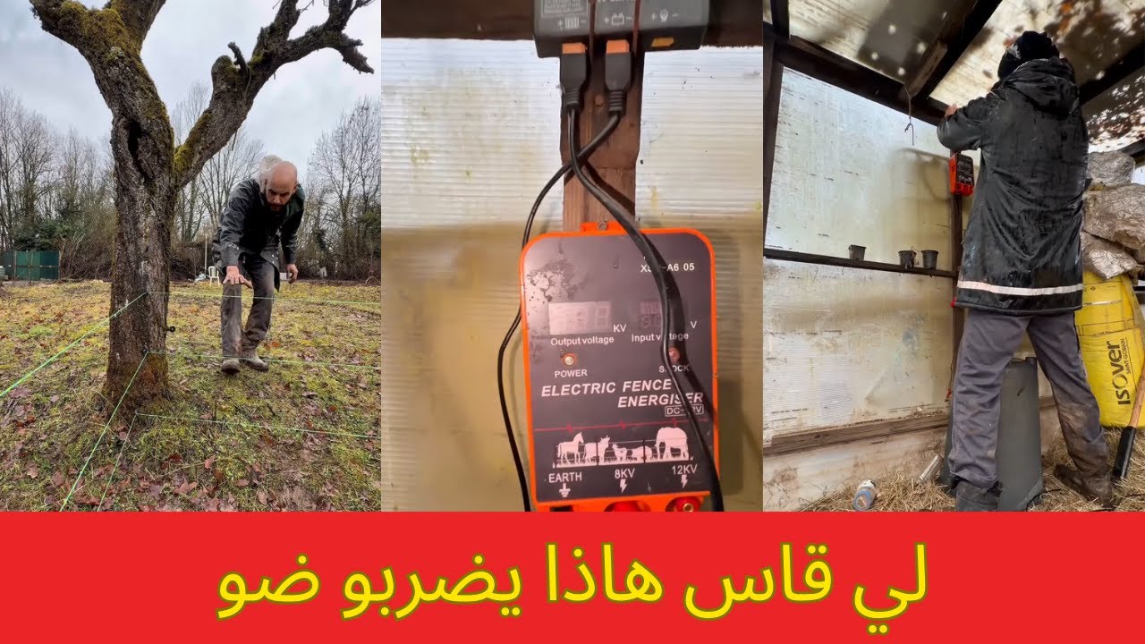 الحل الجديد باش نحمي الحيوانات