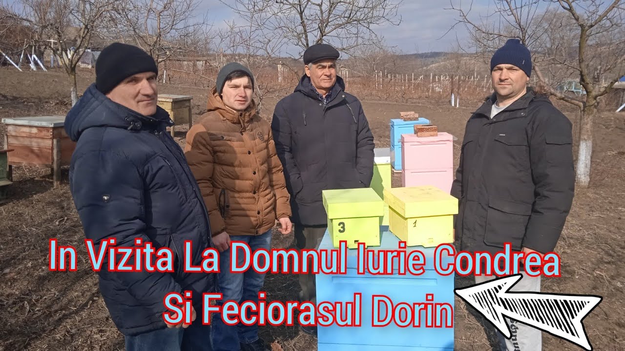 🐝Oare Face De Procurat Stupii Turcesti Din Poliuretan ??? #apicultura2022  #2022