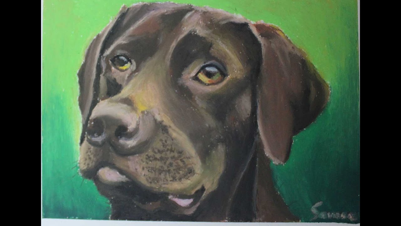 Oil Pastel tutorial for Beginners | How to draw a Dog | Saminspire