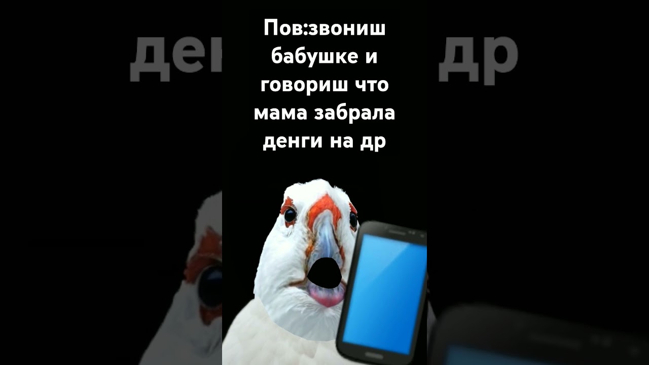 я сейч.......................