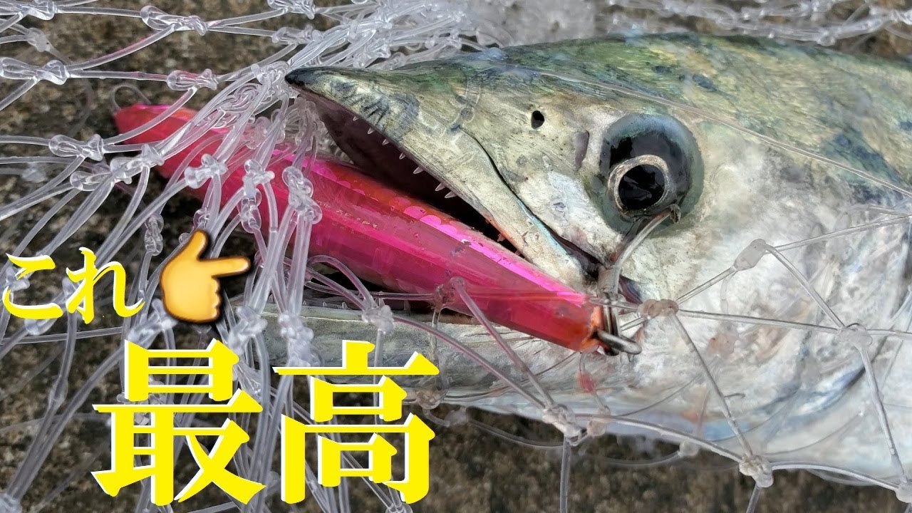 【堤防青物】初心者にもおすすめ！サワラやサゴシが連発で釣れるルアーはこれだ【モンスターショット】