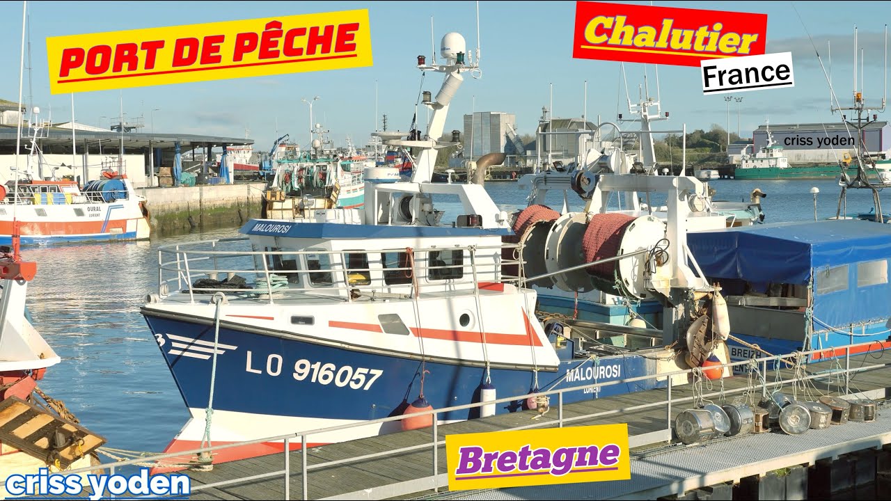 Chalutiers et Fileyeurs dans Le Port de Lorient ; Kéroman ; Morbihan ; Bretagne Sud ; France