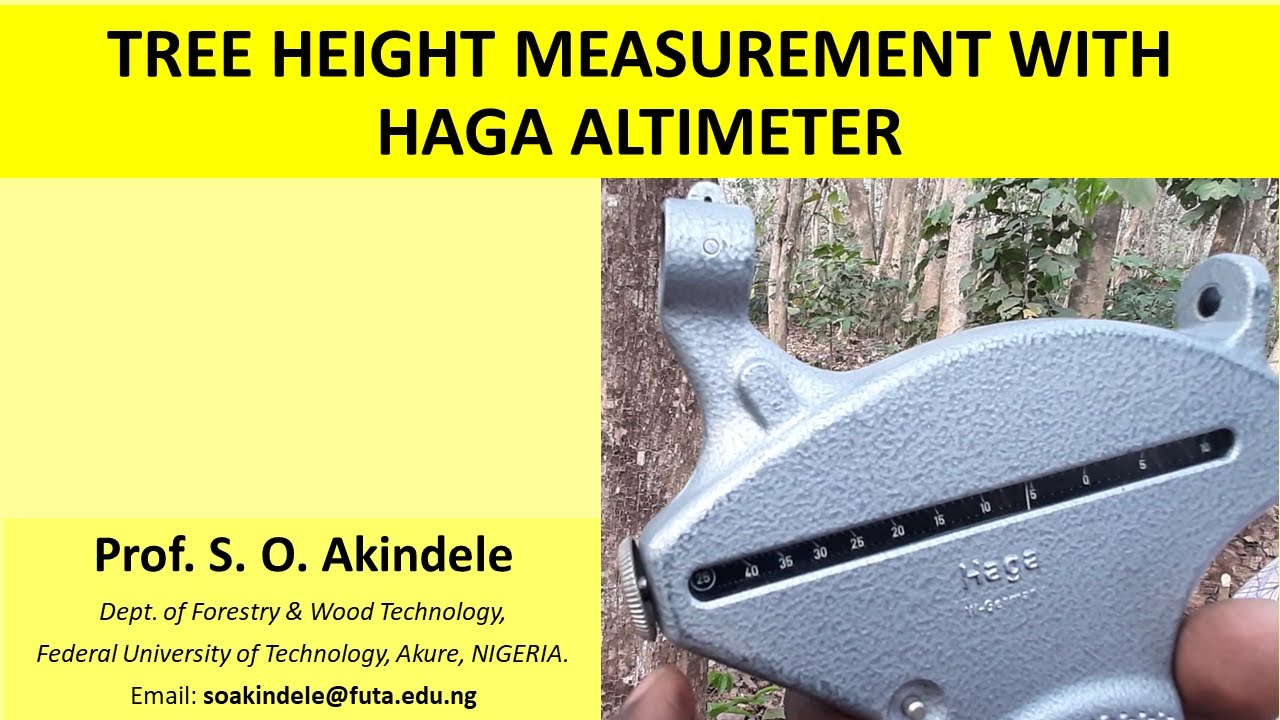 Tree height measurement with Haga altimeter