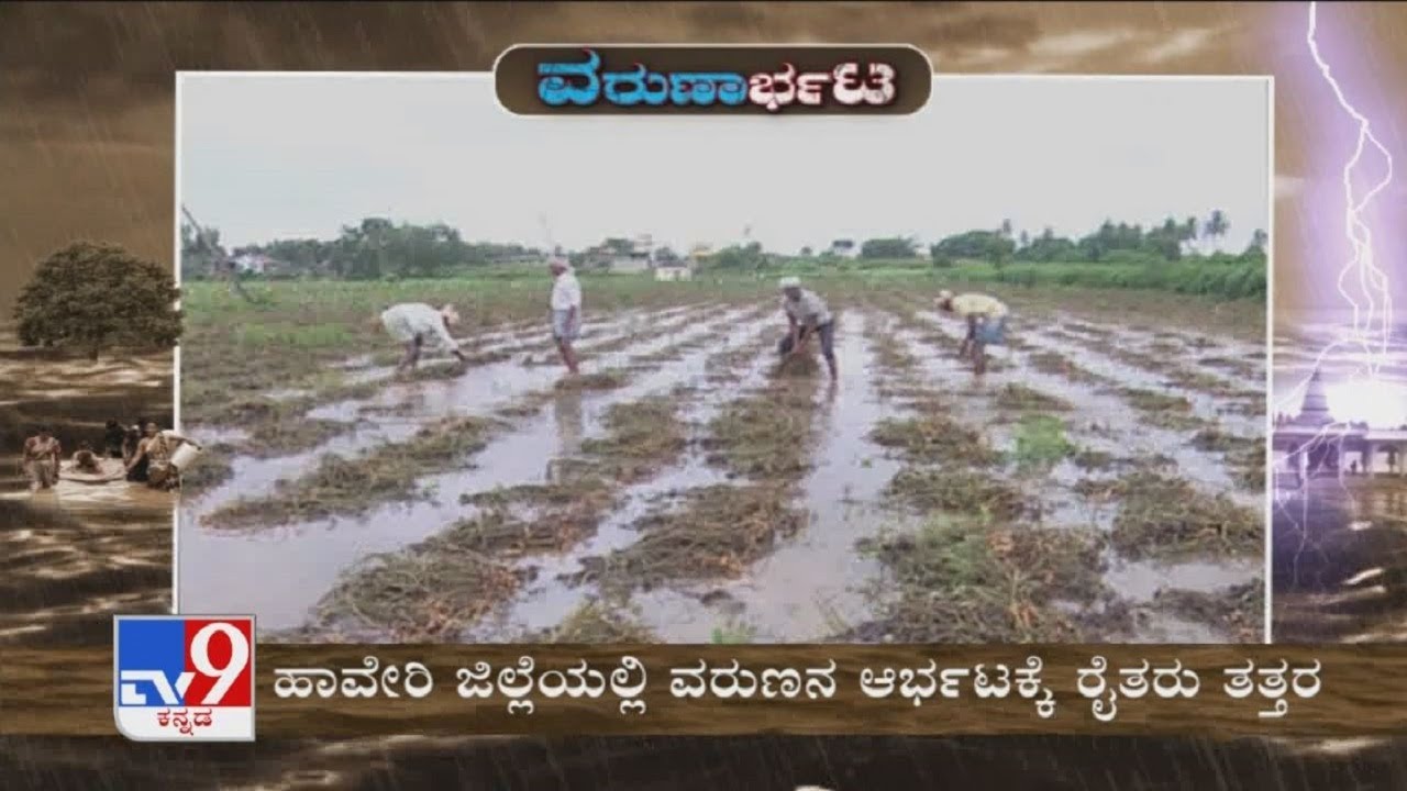 ವರುಣಾರ್ಭಟ: Crops Damage Over Heavy Rain, Tv9 Ground Report From North Karnataka (15-10-2020)