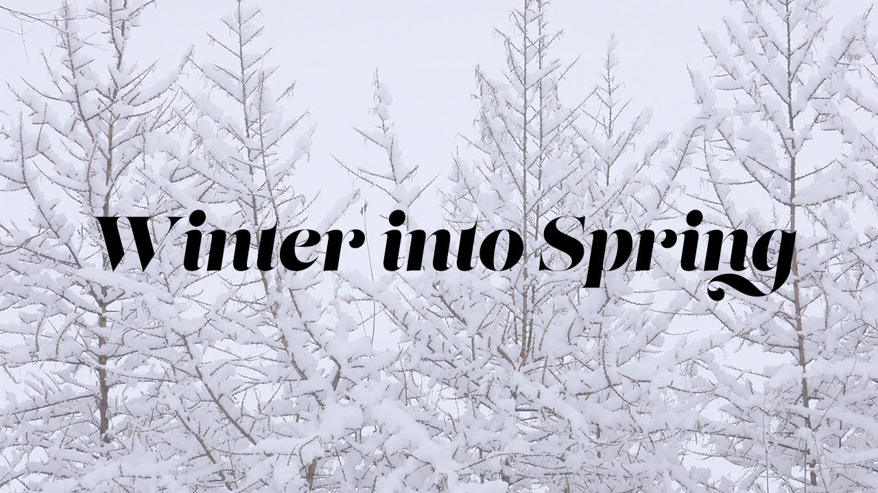 Winter into Spring | Worship Music Playlist
