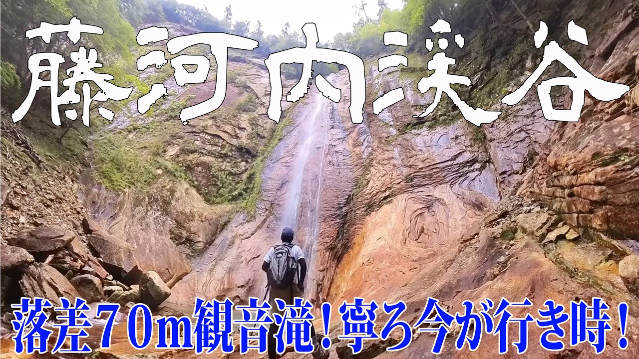 【大分県 藤河内渓谷】夏場はヒルが😖冬場にかけてが寧ろオススメ⁉️絶景ポイント多数✨