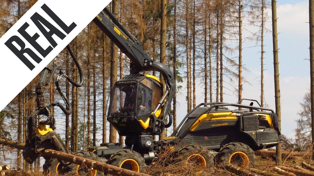 Holzernte mit 2x Ponsse Scorpion King 🌲 [Drohne & Sound] [HD]