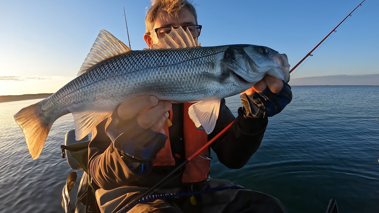 Pêche en mer sous le soleil bigouden.