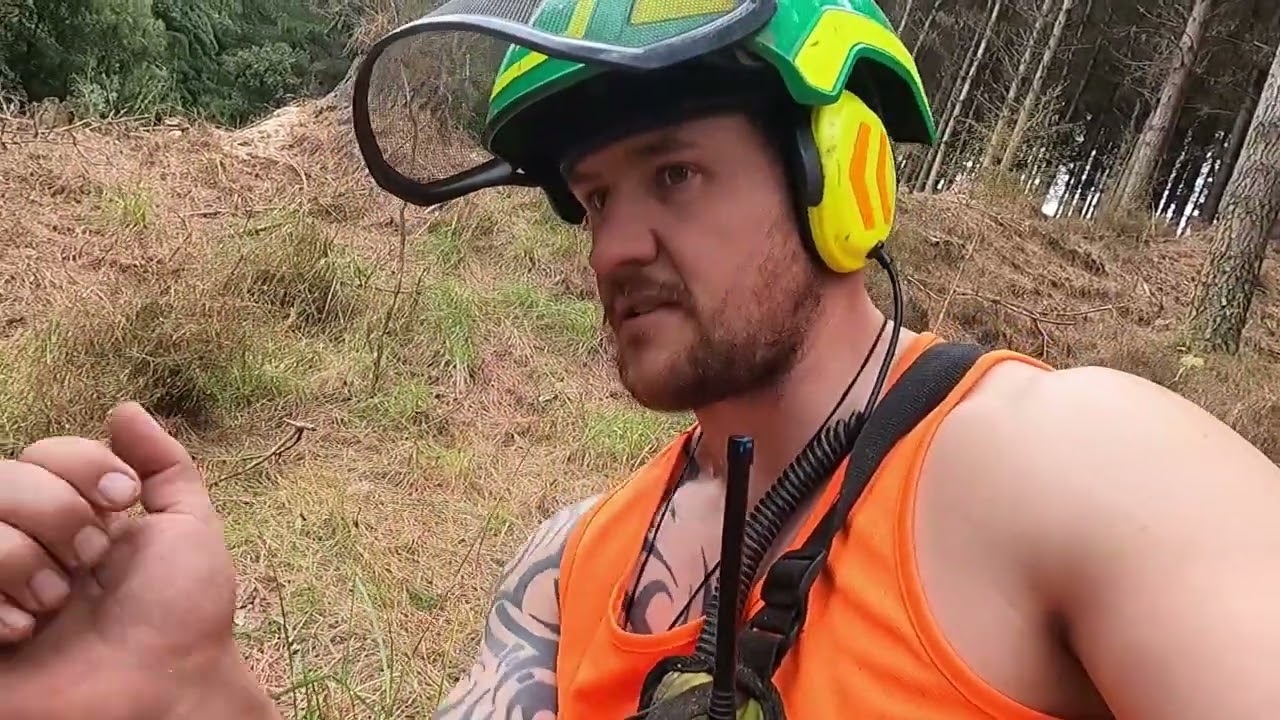 NZ ADVANCED TREE FELLING TIPS PART 1