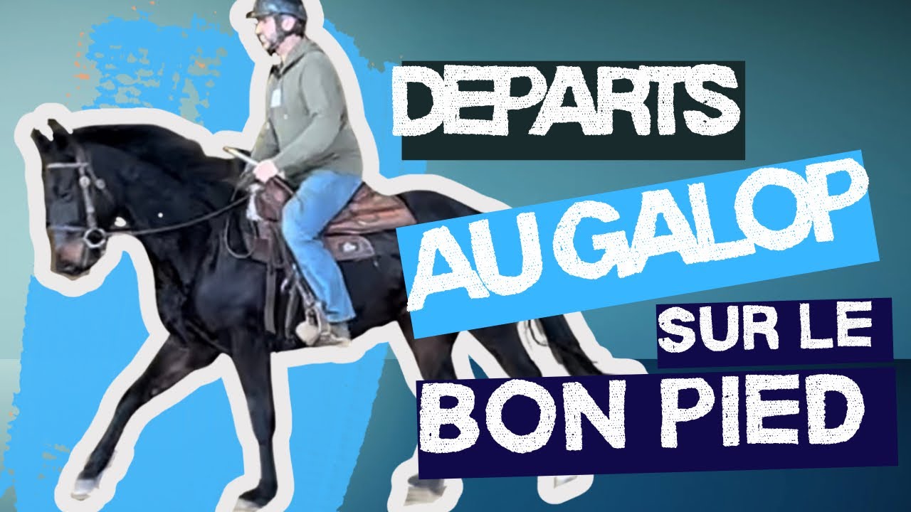 Départs au galop sur le bon pied avec un jeune cheval 