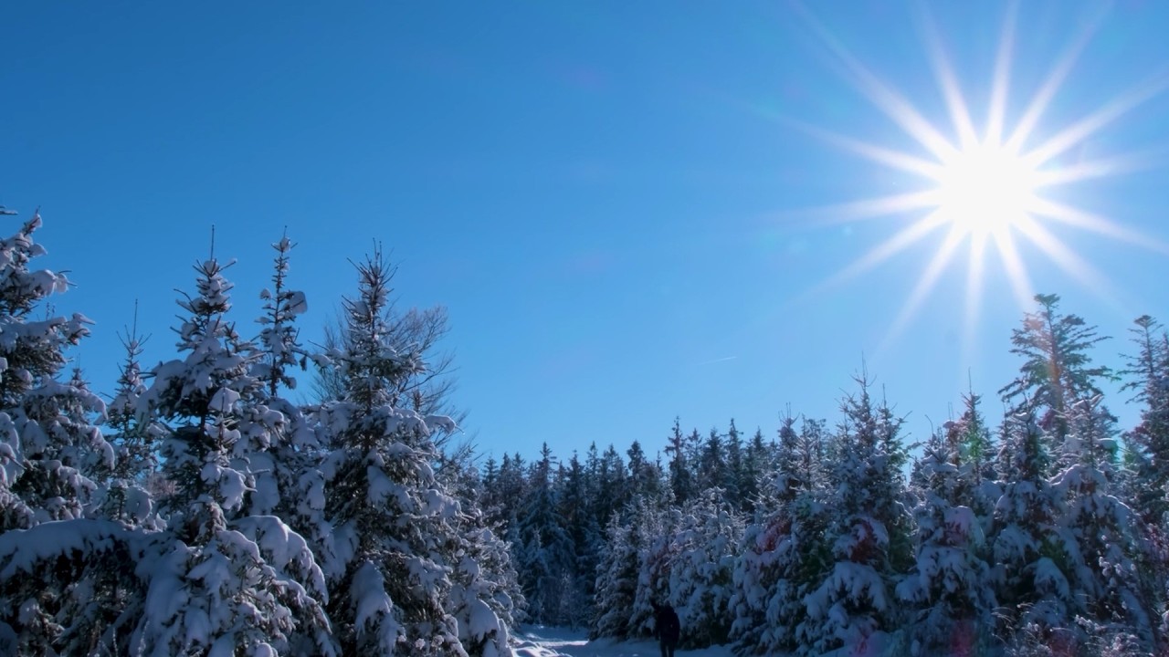 Free To Use Footage Of Winter Landscape