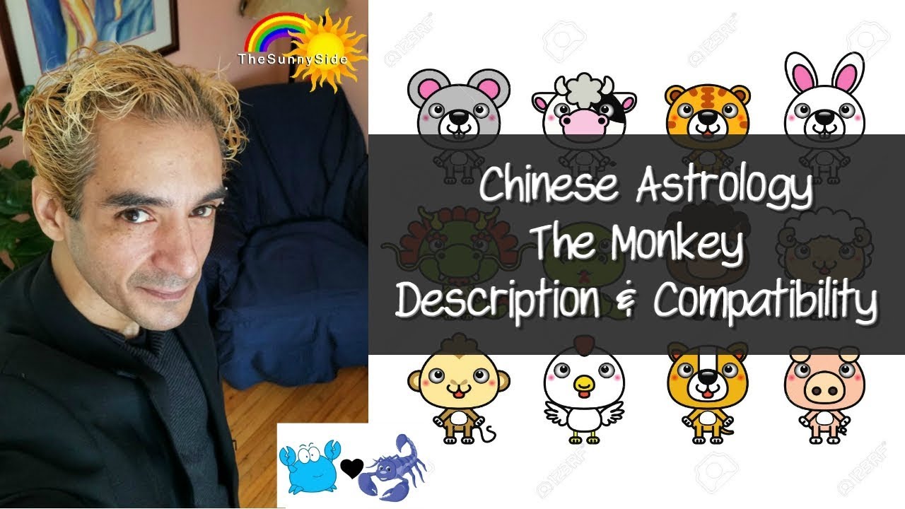 Chinese Astrology: The Monkey Personality and Compatibility