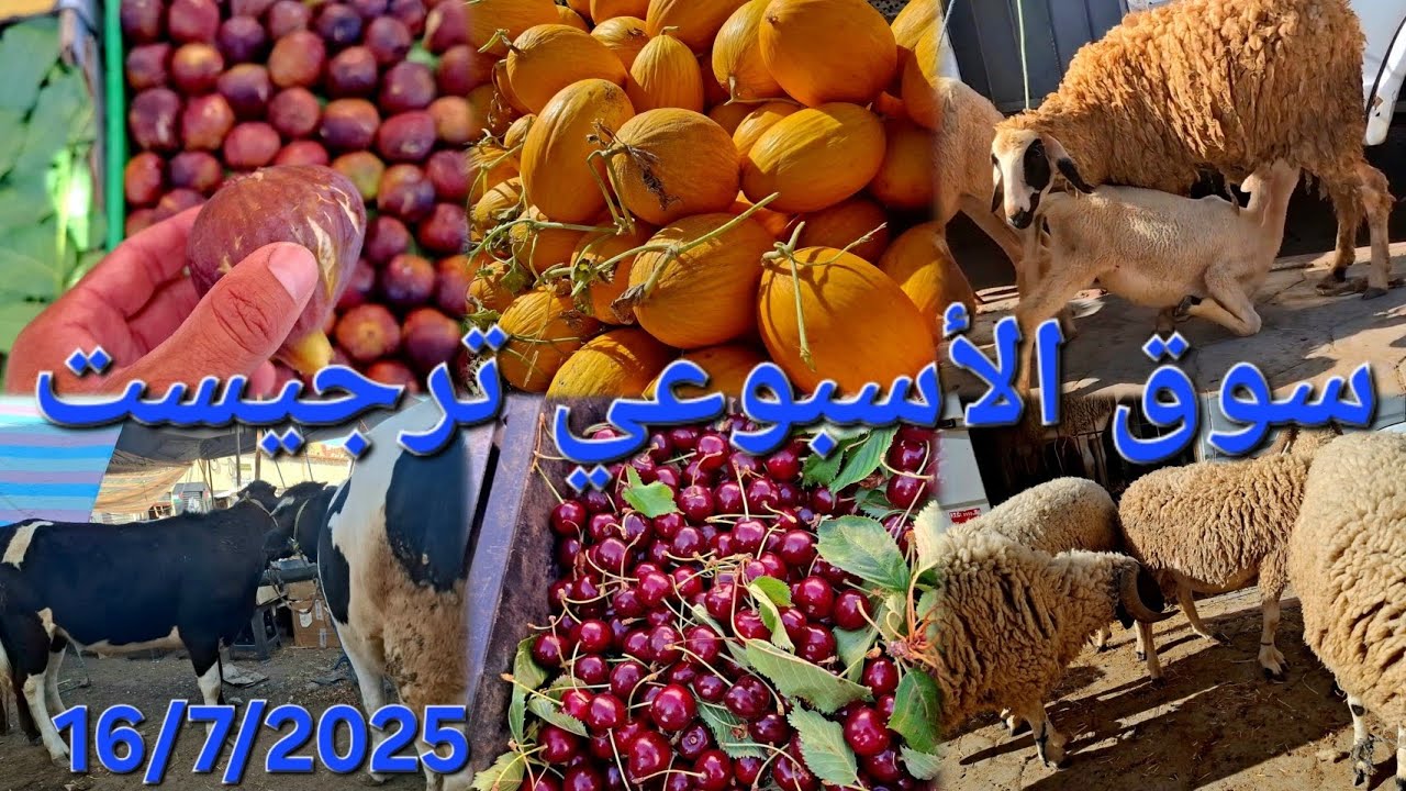 جولة في سوق الأسبوعي الأربعاء ترجيست.🍅🫛🐄16/7/2025  Souk Targuist