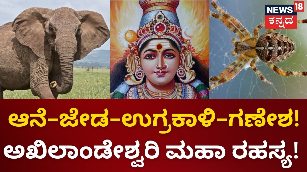 Jambukeswarar | ಈ ದೇಗುಲದಲ್ಲಿ ಪೂಜೆ ಮಾಡಬೇಕಂದ್ರೆ ಅರ್ಚಕ ಸೀರೆ ಉಡಲೇಬೇಕು‌! | Mahime